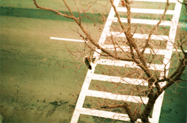 -scape Photo